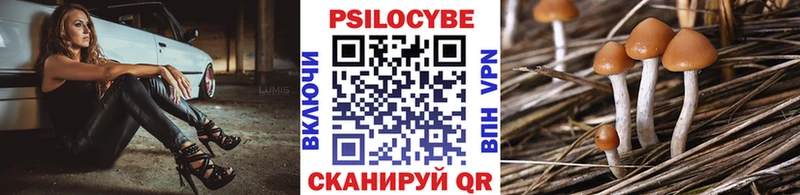 Галлюциногенные грибы GOLDEN TEACHER  Купить  Гуково 